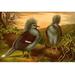 Buyenlarge 'Crowned Pigeons' by F.W. Kuhnert Painting Print in Blue/Brown/Green | 28 H x 42 W x 1.5 D in | Wayfair 0-587-16648-LC2842