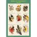 Buyenlarge Birds of Paradise Composite I Vertical Classroom Poster by John Gould - Graphic Art Print in White | 36 H x 24 W x 1.5 D in | Wayfair