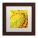 Trademark Fine Art "Glistening Sunflower Nectar" by Kurt Shaffer Framed Photographic Print Canvas | 11 H x 11 W x 0.5 D in | Wayfair