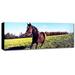 Trademark Fine Art 'Running Horse Photographic Print on Wrapped Canvas Canvas | 8 H x 24 W x 2 D in | Wayfair EM0564-C824GG