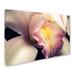 Trademark Fine Art 'Close-Up of Orchid' Photographic Print on Wrapped Canvas Canvas | 12 H x 19 W x 2 D in | Wayfair MFG0012-C1219GG