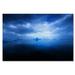 Trademark Fine Art Philippe Sainte-Laudy Blue Ice Photographic Print on Wrapped Canvas Metal | 22 H x 32 W x 2 D in | Wayfair PSL0629-C2232GG