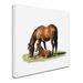 Trademark Fine Art 'Horse w/ Foal' Print on Canvas Canvas | 18 H x 18 W x 2 D in | Wayfair ALI8685-C1818GG