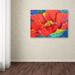 Trademark Fine Art 'Passion Poppy' Print on Wrapped Canvas Canvas | 14 H x 19 W x 2 D in | Wayfair ALI15449-C1419GG