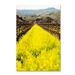 Trademark Fine Art 'In Full Bloom' Photographic Print on Wrapped Canvas Canvas | 24 H x 16 W x 2 D in | Wayfair ALI12626-C1624GG