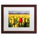 Trademark Fine Art 'Red Tulip' by Pierre Leclerc Framed Photographic Print Canvas | 16 H x 20 W x 0.5 D in | Wayfair PL0138-W1620MF