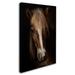 Trademark Fine Art 'Sapience' Photographic Print on Wrapped Canvas Metal | 32 H x 22 W x 2 D in | Wayfair 1X00715-C2232GG