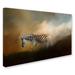 Trademark Fine Art 'Going Home at Sunset' Graphic Art Print on Wrapped Canvas in White | 30 H x 47 W x 2 D in | Wayfair ALI14688-C3047GG