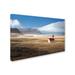 Trademark Fine Art 'Lonely Church' Graphic Art on Wrapped Canvas in White | 30 H x 47 W x 2 D in | Wayfair 1X01635-C3047GG