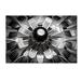 Trademark Fine Art 'Please Save Me' Graphic Art Print on Wrapped Canvas Metal in Black/White | 22 H x 32 W x 2 D in | Wayfair 1X03333-C2232GG