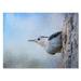 Trademark Fine Art 'Nuthatch in the Snow' Graphic Art Print on Wrapped Canvas Metal | 24 H x 32 W x 2 D in | Wayfair ALI14278-C2432GG