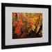 Trademark Fine Art 'Brilliant Autumn Forest' by Kurt Shaffer Framed Photographic Print Canvas in Green | 16 H x 20 W x 0.5 D in | Wayfair