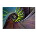 Trademark Fine Art 'Crazy Eye' Photographic Print on Wrapped Canvas in White | 30 H x 47 W x 2 D in | Wayfair 1X01542-C3047GG