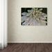 Trademark Fine Art "Hosta Flower Abstract" by Kurt Shaffer Photographic Print on Wrapped Canvas Canvas | 16 H x 24 W x 2 D in | Wayfair