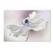 Trademark Fine Art 'Anemone Breeze' Graphic Art Print on Wrapped Canvas Canvas | 12 H x 19 W x 2 D in | Wayfair 1X02860-C1219GG