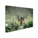 Trademark Fine Art 'I am Back to You' Photographic Print on Wrapped Canvas Canvas | 14 H x 19 W x 2 D in | Wayfair 1X02845-C1419GG