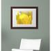 Trademark Fine Art "Yellow Tulip" by Kurt Shaffer Framed Photographic Print Canvas, Wood | 11 H x 14 W x 0.5 D in | Wayfair KS0156-W1114MF