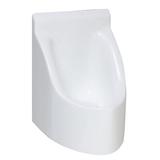 Waterless Del Casa Urinal, Home Use, Fiberglass in White | 18 H x 14 W x 14 D in | Wayfair 2902