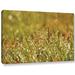 Latitude Run® Dewdrop Delight Photographic Print on Wrapped Canvas Canvas | 24 H x 48 W x 2 D in | Wayfair LATR9483 34762589