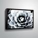 Bungalow Rose Jeanetta 'Spring Succulent Symphony 1' Photographic Print Wood/Canvas in Brown | 16 H x 24 W x 2 D in | Wayfair LDER6665 43046968