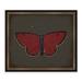 Melissa Van Hise Butterflies on Black II Framed Graphic Art Paper in Brown/Red | 17.5 H x 20.5 W x 2 D in | Wayfair IP13609