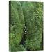 East Urban Home Oregon Mt Hood National Forest Columbia Gorge 'Oneonta Creek' - Photograph Print on Canvas in Green | 24 H x 16 W x 1.5 D in | Wayfair
