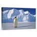 East Urban Home Antarctica Auster EP Rookery 'Emperor Penguin' Photographic Print on Wrapped Canvas in White | 24 H x 36 W x 1.5 D in | Wayfair