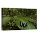 East Urban Home On A Leaf 'Morpho Butterfly Butterfly' - Photograph Print on Canvas in Green | 16 H x 24 W x 1.5 D in | Wayfair NNAI6546 39917400