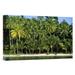 East Urban Home Indonesia Irian Jaya 'Palm Trees Along White Sand Beach' - Photograph Print on Canvas in Green | 20 H x 30 W x 1.5 D in | Wayfair