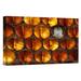 East Urban Home Germany 'Honey Bee Brood Honeycomb w/ Pupa' - Photograph Print on Canvas in White | 24 H x 36 W x 1.5 D in | Wayfair