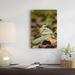 East Urban Home Ecuador Mindo Cloud Forest 'Mountain Sipo Defensive Posture' - Photograph Print on Canvas in Brown/Green | Wayfair