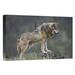 East Urban Home North America ' Wolf' - Photograph Print on Canvas in Gray | 16 H x 24 W x 1.5 D in | Wayfair NNAI2901 39913744