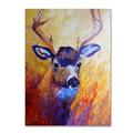 Red Barrel Studio® 'Mule Deer Buck' Print on Wrapped Canvas in Blue/Green/Red | 19 H x 14 W x 2 D in | Wayfair RBRS1514 39245818