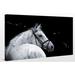 Union Rustic 'Bridled Beauty' Photographic Print on Wrapped Canvas Metal in Black | 24 H x 40 W in | Wayfair UNRS2418 39987188