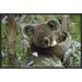 East Urban Home 'Koala Male' Framed Photographic Print on Canvas in Brown/Green | 16 H x 24 W x 1.5 D in | Wayfair URBH5522 38226472