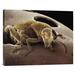 East Urban Home 'American Seed Beetle Emerging From String Bean It Has Partially Eaten' Photographic Print on Canvas in Brown | Wayfair