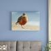 East Urban Home 'Red-Breasted Plover' Photographic Print on Canvas in Brown/Gray | 20 H x 30 W x 1.5 D in | Wayfair URBH8576 38407576