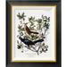 Global Gallery Boat Tailed Grackle - Male & Female by John James Audubon - Picture Frame Print on Canvas Canvas, in Black/Green | Wayfair