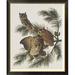 Global Gallery Little Screech Owl or Mottled Owl by John James Audubon - Picture Frame Graphic Art Print on Canvas Plastic in Black/Green | Wayfair