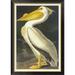 Global Gallery American White Pelican by John James Audubon - Picture Frame Graphic Art Print on Canvas Canvas, in Black | Wayfair
