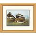 Global Gallery Long-Tailed Duck by John James Audubon Framed Painting Print Paper | 21.36 H x 26 W x 1.5 D in | Wayfair DPF-198128-16-102
