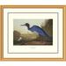 Global Gallery Blue Crane or Heron by John James Audubon Framed Painting Print Plastic/Metal | 34 H x 40 W x 1.5 D in | Wayfair DPF-132744-2430-102