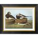 Global Gallery Long-Tailed Duck by John James Audubon - Picture Frame Print on Canvas Canvas, Cotton in Black | 17.36 H x 22 W x 1.5 D in | Wayfair