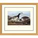 Global Gallery Barnacle Goose by John James Audubon Framed Painting Print Plastic/Metal | 34 H x 40 W x 1.5 D in | Wayfair DPF-132780-2430-102