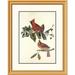 Global Gallery Cardinal Grosbeak by John James Audubon Framed Painting Print Metal | 32 H x 25.62 W x 1.5 D in | Wayfair DPF-198040-22-102
