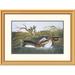 Global Gallery American Pied-Bill Dobchick by John James Audubon Framed Painting Print Metal | 23.86 H x 32 W x 1.5 D in | Wayfair