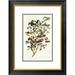 Global Gallery Audubon's Warbler by John James Audubon Framed Painting Print Paper | 26 H x 20.08 W x 1.5 D in | Wayfair DPF-382081-16-102