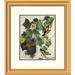 Global Gallery Baltimore Oriole by John James Audubon Framed Painting Print Paper in Green | 24 H x 21 W x 1.5 D in | Wayfair DPF-198086-1114-102