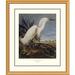 Global Gallery Snowy Heron or White Egret by John James Audubon Framed Painting Print Plastic/Metal | 40 H x 34 W x 1.5 D in | Wayfair