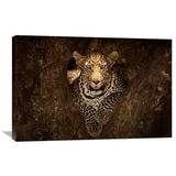 Global Gallery 'Leopard Resting On A Tree At Masai Mara' by Ozkan Ozmen Photography Photographic Print on Wrapped Canvas in White | Wayfair